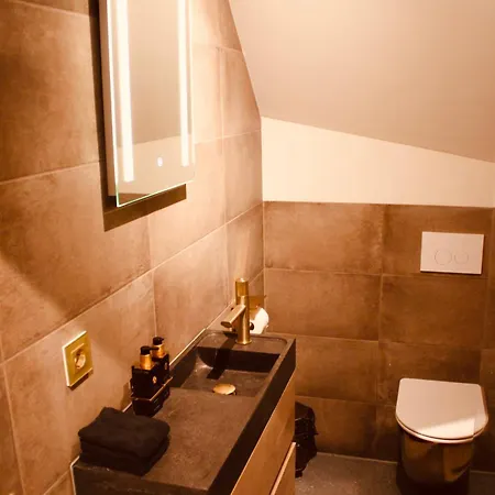 De Hollandsche Leeuw Hotel 3*