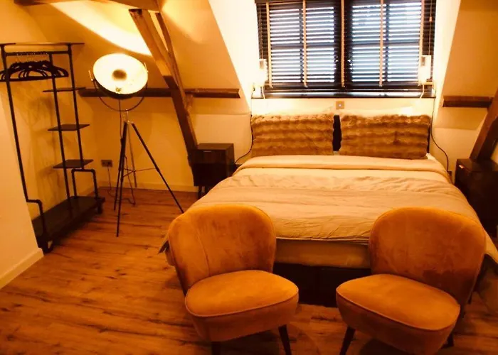 De Hollandsche Leeuw Otel 3*