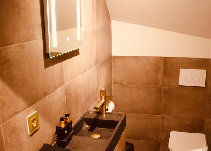 De Hollandsche Leeuw Otel 3*