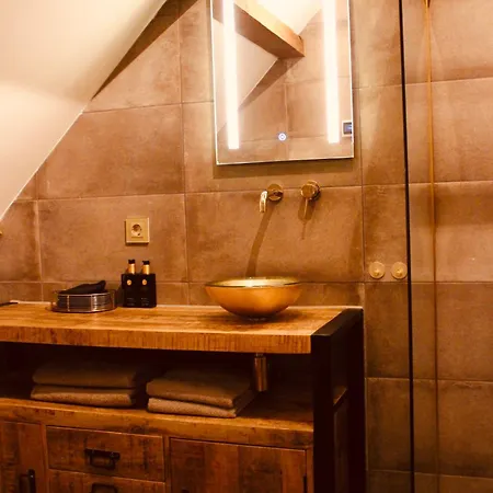 Hotel De Hollandsche Leeuw 3*