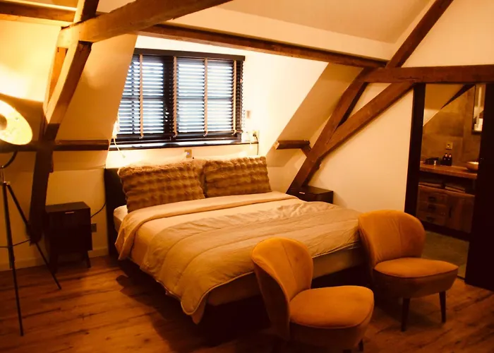 De Hollandsche Leeuw Hotel 3*