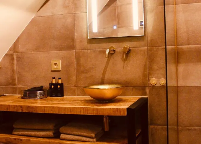 Hotel De Hollandsche Leeuw 3*